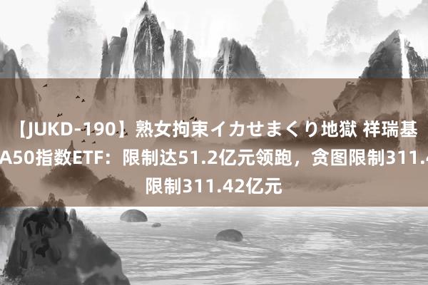 【JUKD-190】熟女拘束イカせまくり地獄 祥瑞基金中证A50指数ETF：限制达51.2亿元领跑，贪图限制311.42亿元