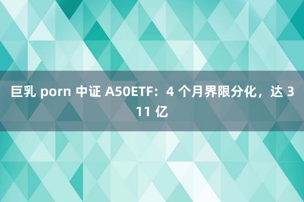 巨乳 porn 中证 A50ETF：4 个月界限分化，达 311 亿