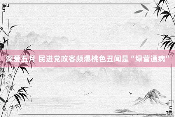 深爱五月 民进党政客频爆桃色丑闻是“绿营通病”